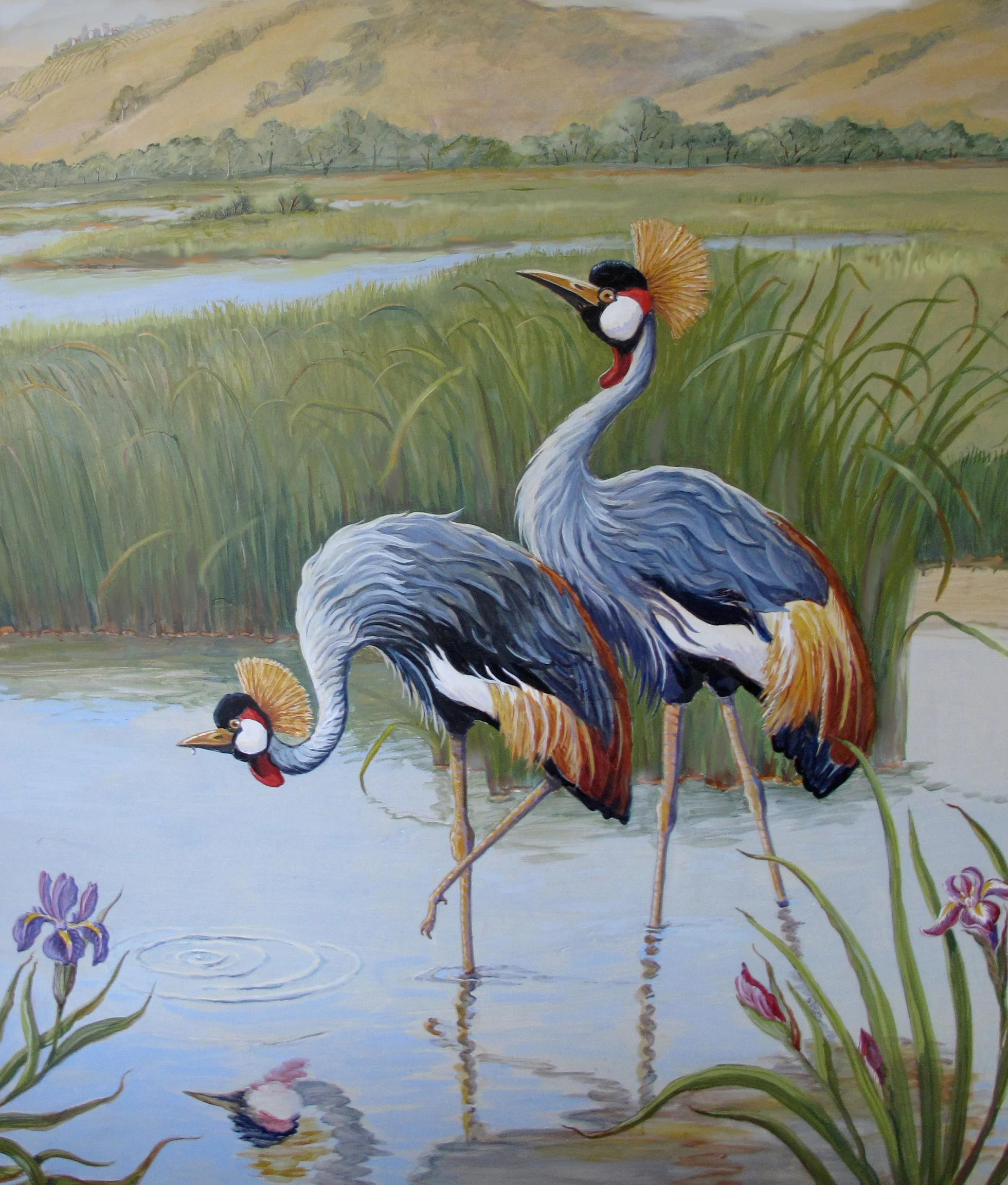 CrownedCraneDetail.jpg
