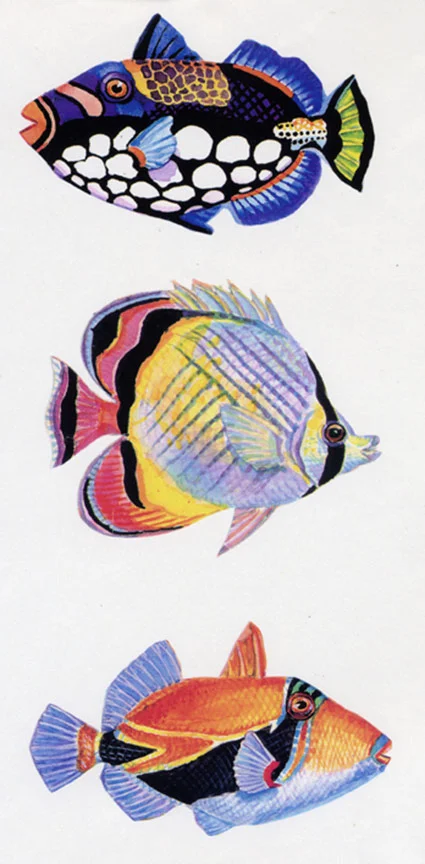TropicalFishMagnets.jpg