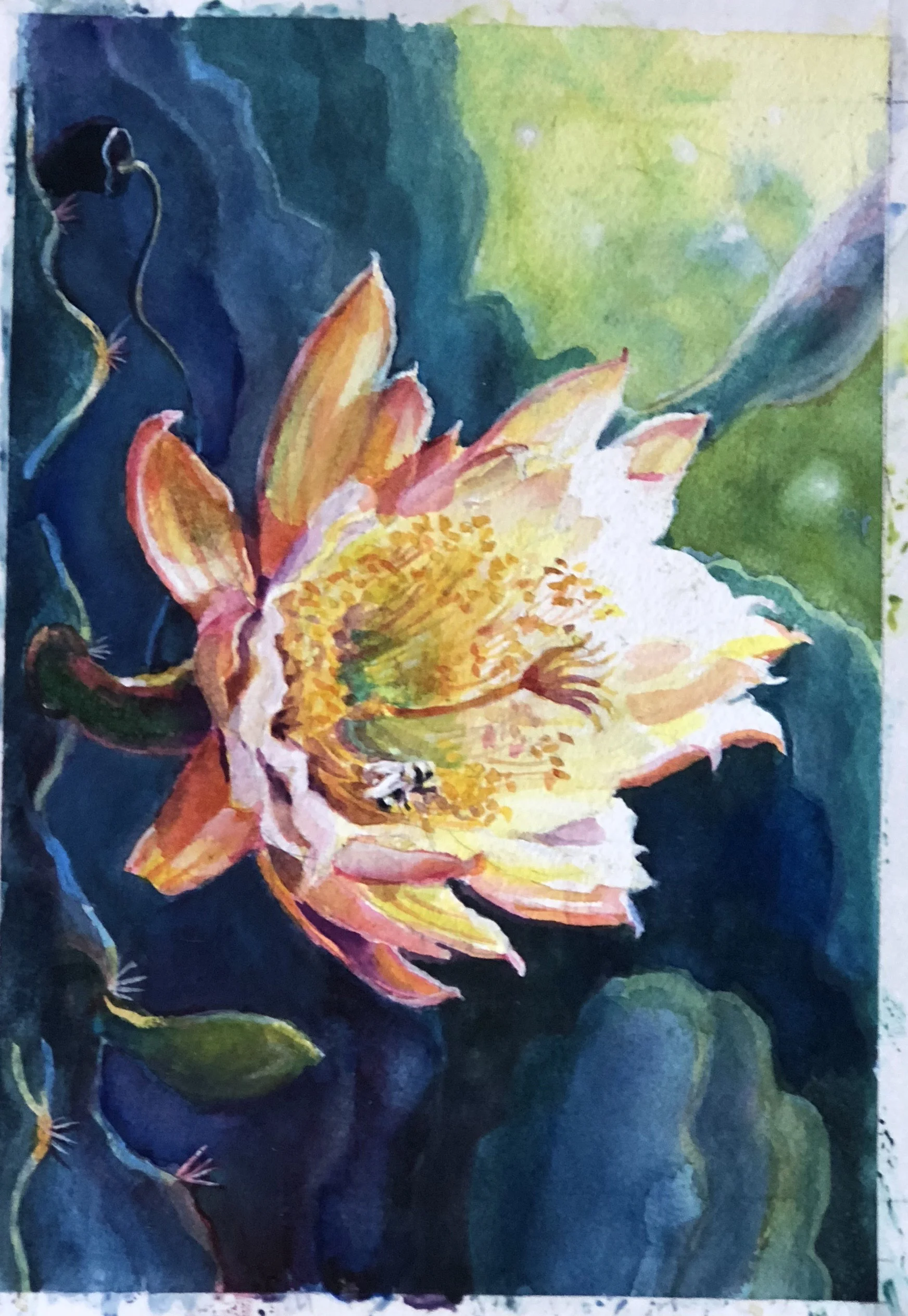 2. A small color study precedes the larger than life final watercolor. Here the bumblebee and a daylight setting do not have the dramatic punch that I want, so I make changes and move to a larger than life final sketch.