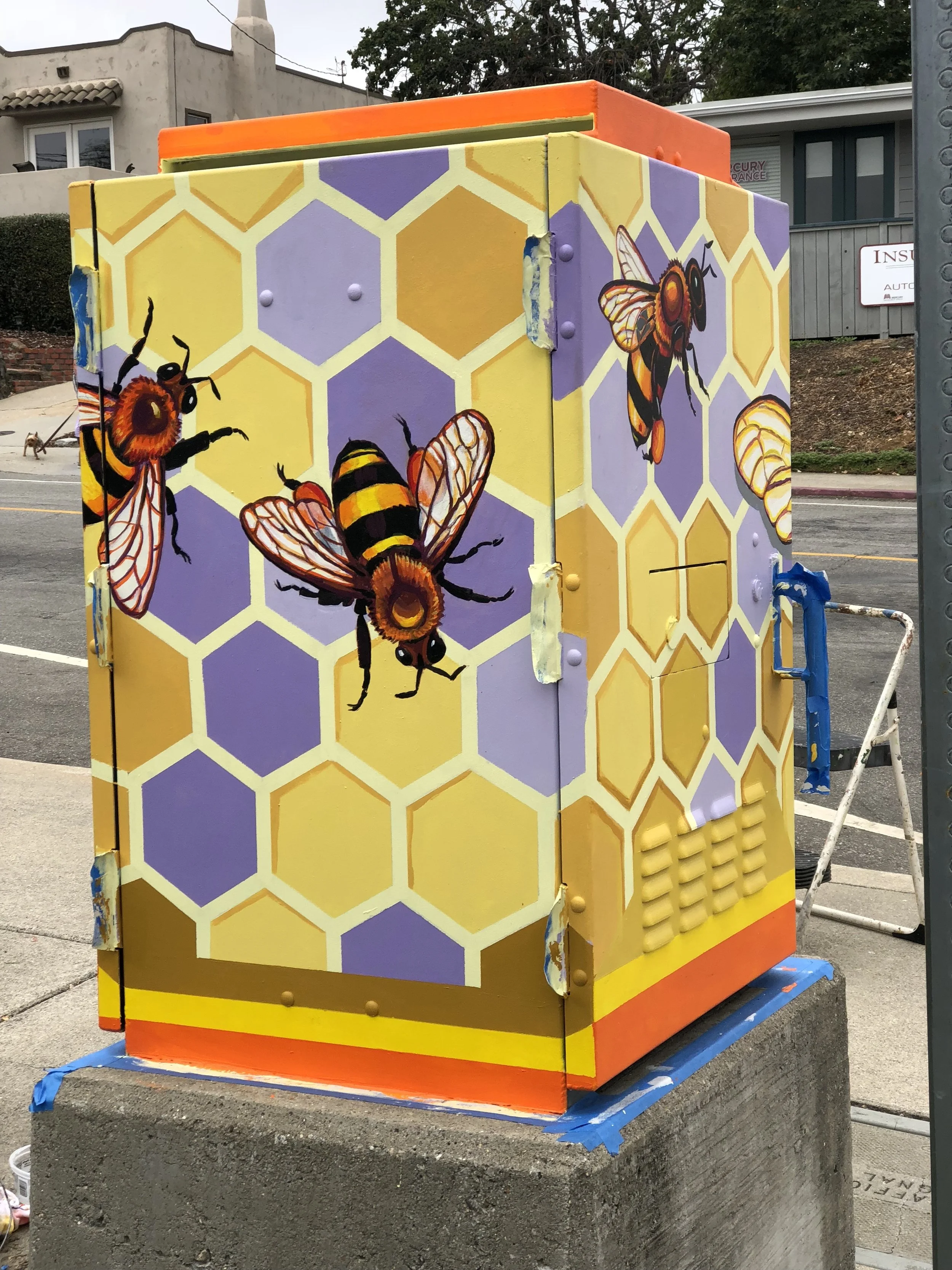 "Bee Box" Back and Side View