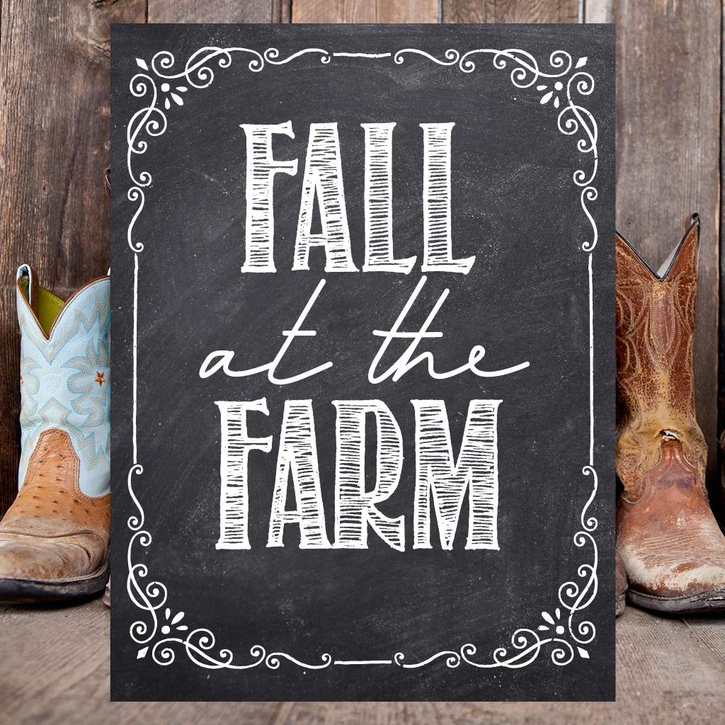 Fall at the Farm