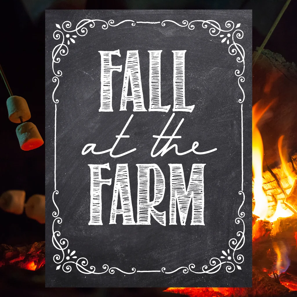 Fall at the Farm