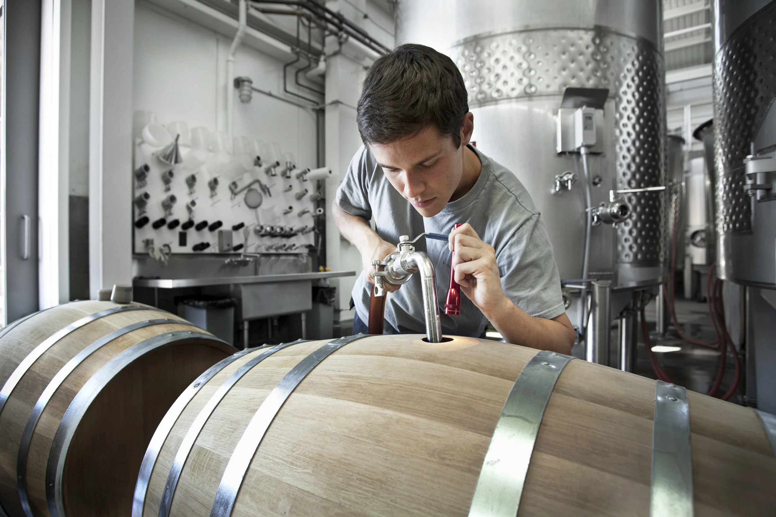 careers — Paul Hobbs Wines