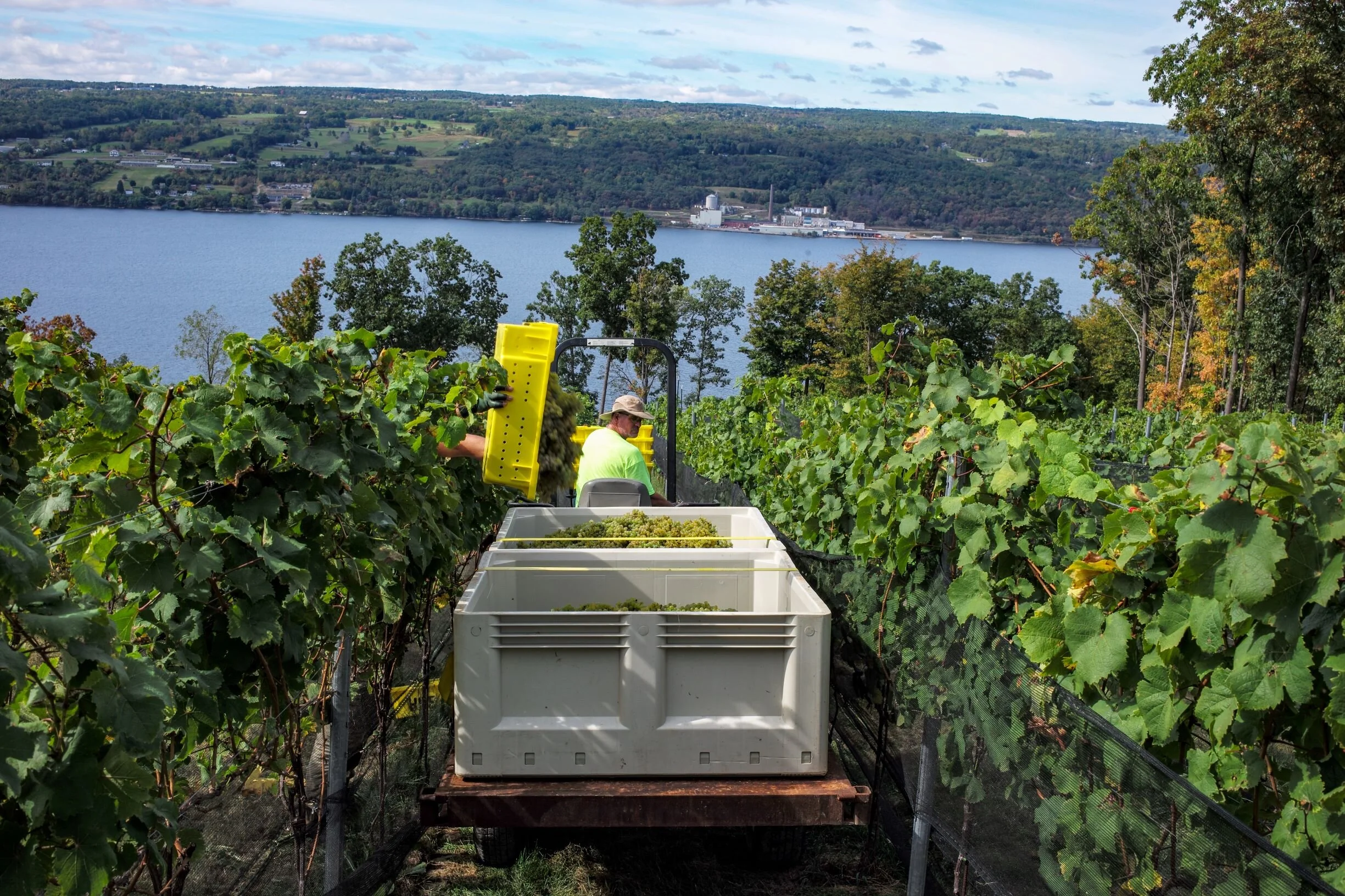 hhe harvest 9.29.19 (2)_sm.jpg