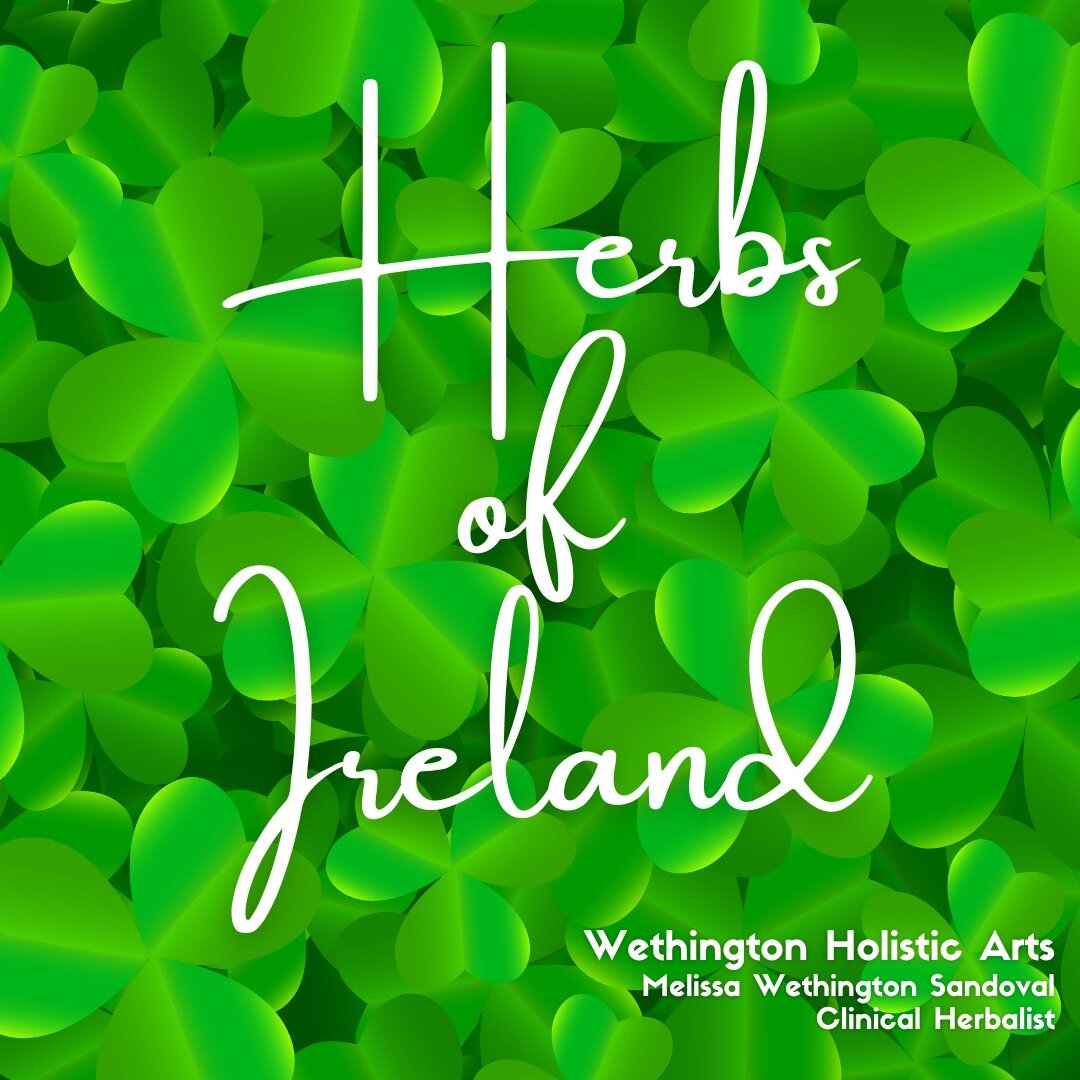 Happy St. Patrick's Day!
We hope you enjoy learning about these herbs that are predominantly used in Ireland.
#StPatricksDay #herbsofireland #learnaboutherbs #LearnaboutherbsofIreland #wethingtonholisticarts