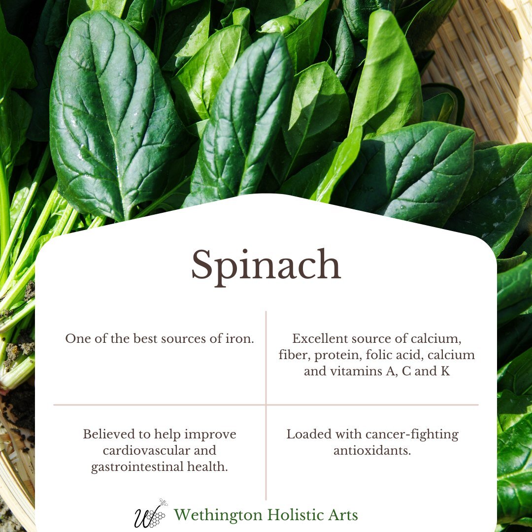 It's National Spinach Day!
Here are just a few of the benefits of this wonderful vegetable.  Tell us your favorite way to enjoy spinach in the comments below.
#nationalspinachday #benefitsofspinach #spinach #learnaboutherbs #clinicalherbalist #NMherb