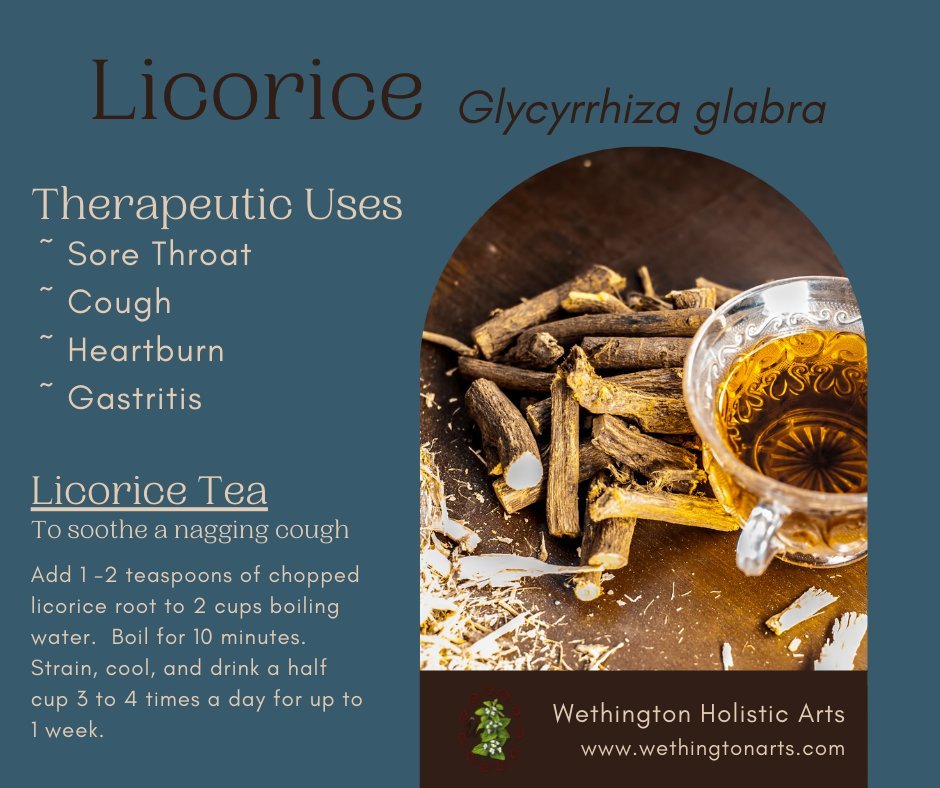 National Licorice Day!

#nationallicoriceday #benefitsoflicorice #licoriceherb #learnaboutlicorice #learnaboutherbs #licoricetea #wethingtonholisticarts