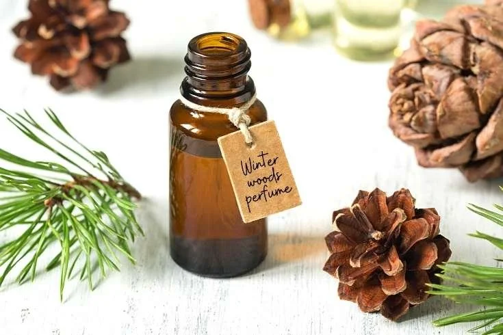 Intro to Botanical Perfumery: Embrace the Magic of Winter Scents