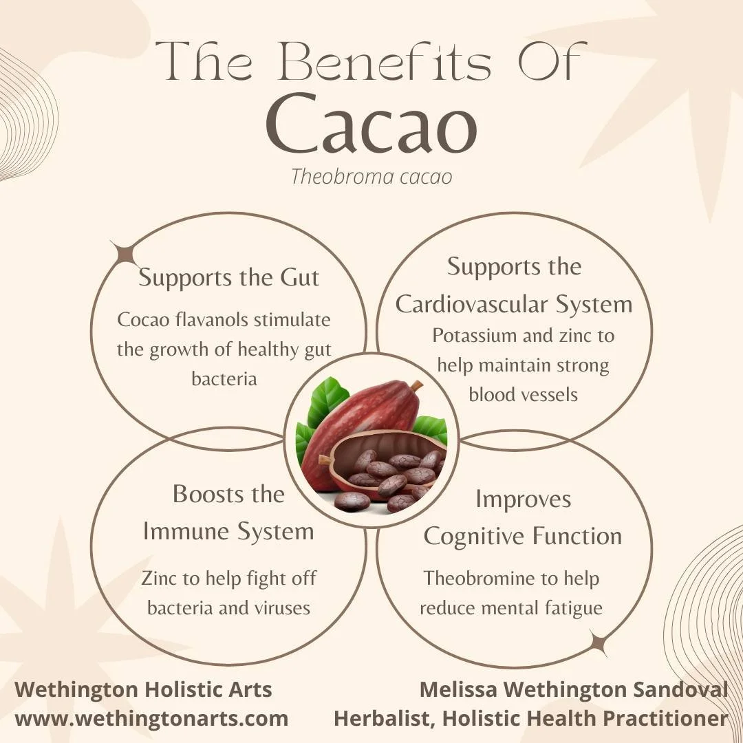 Today we celebrate National Chocolate Cake Day 🍫🎂

Behind every slice is cacao &mdash; a plant rich in antioxidants and feel-good compounds that support both heart and mood. A sweet moment, a nourishing plant, and a perfect excuse to enjoy every bi