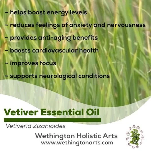 🌾✨ Sometimes the best way to find balance is to reconnect with nature.
Vetiver essential oil is treasured in aromatherapy for its deeply grounding, calming aroma. Whether you're looking to unwind after a busy day or create a peaceful moment for your