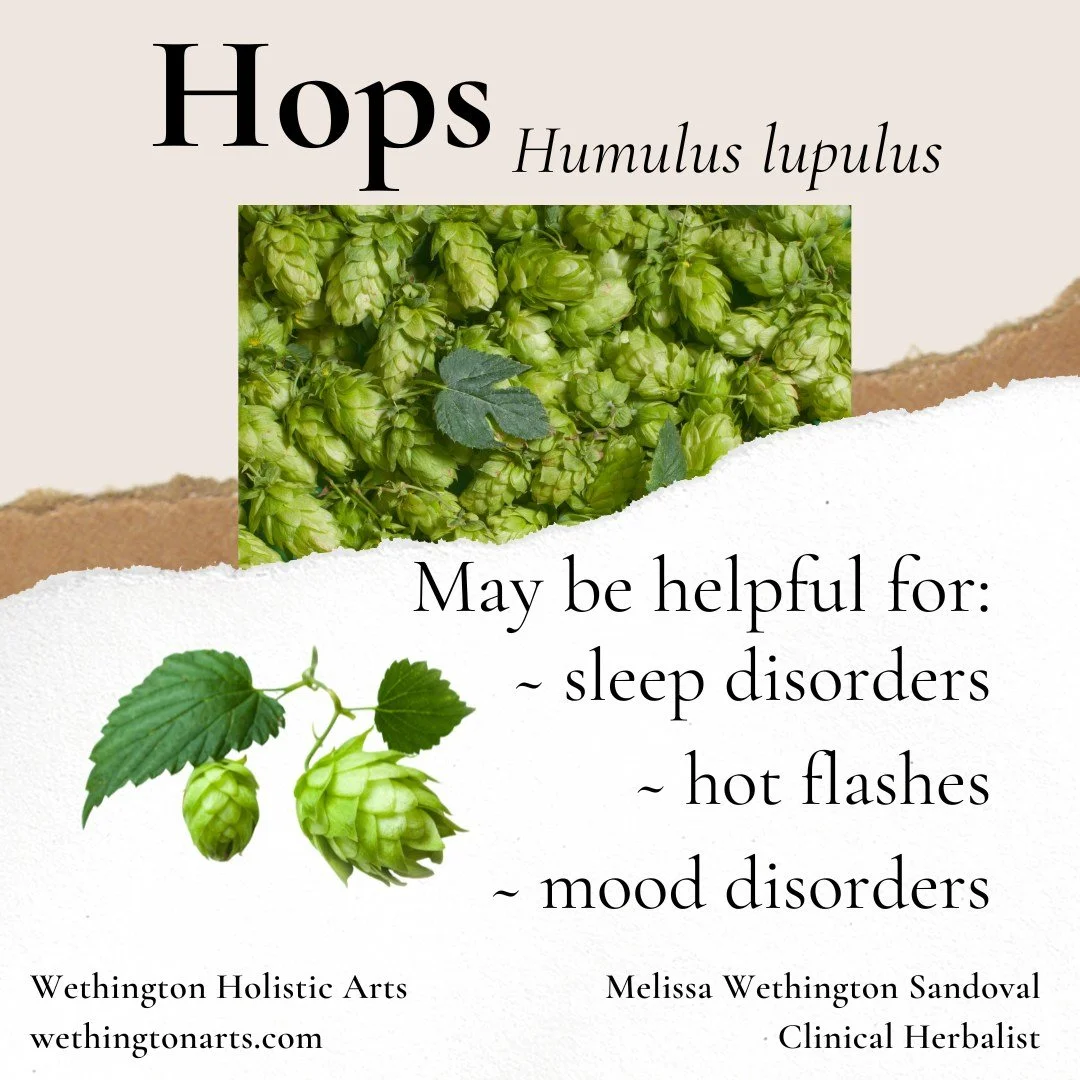 🍻 Happy International Beer Day! 🍻
Let&rsquo;s toast to hops&mdash;not just for beer, but for their calming, sleep-supporting, and anxiety-soothing powers. 🌿💤
No brewing here, but we love this herb for all its herbal magic.
#InternationalBeerDay #