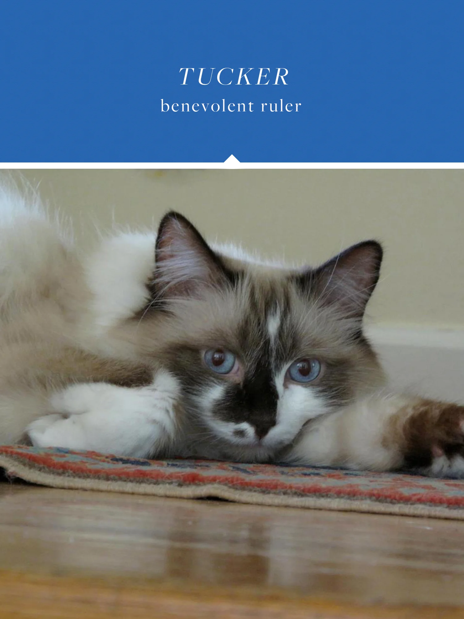 Tucker - the benevolent ruler