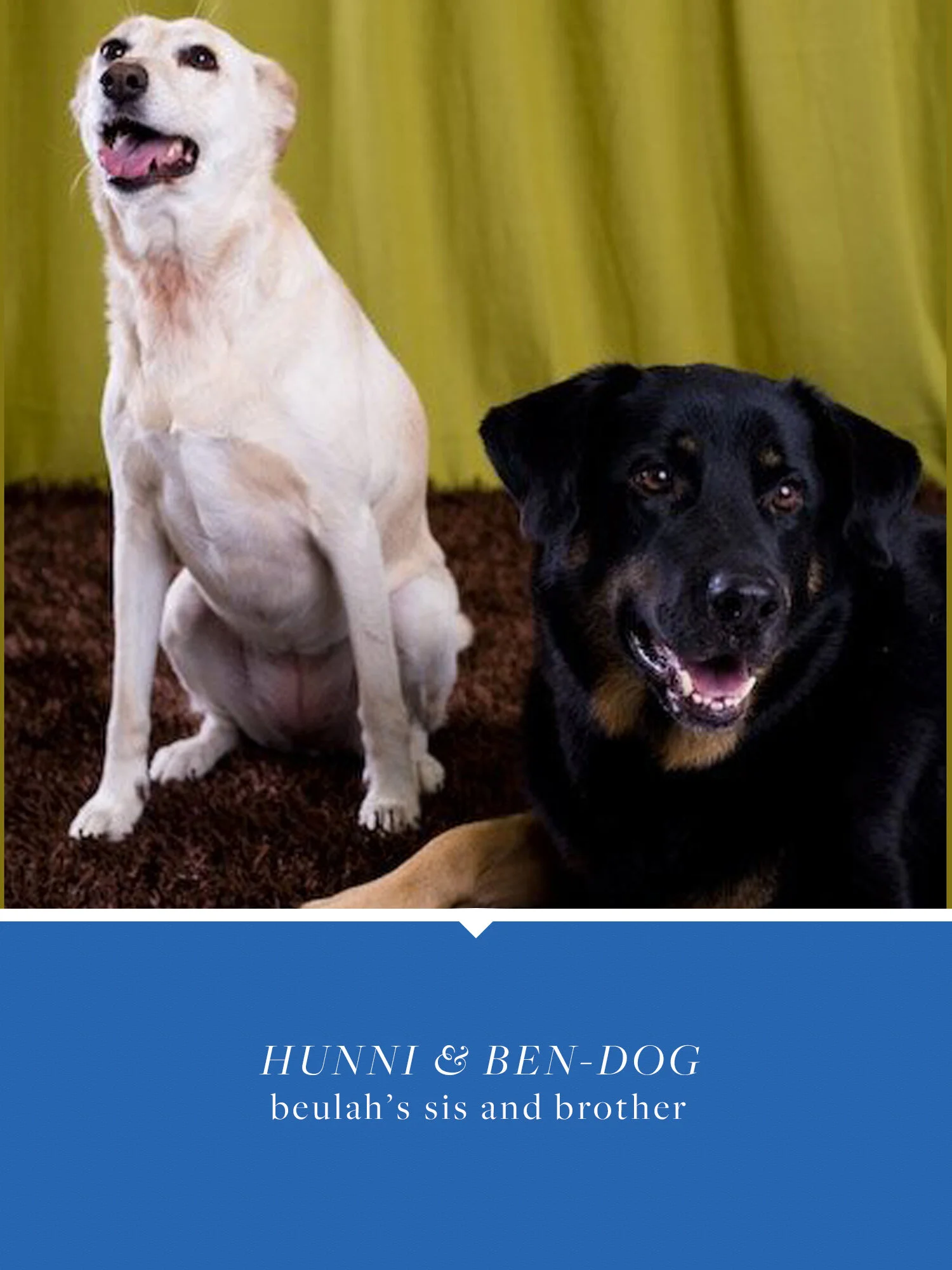 hunniandbenny.jpg