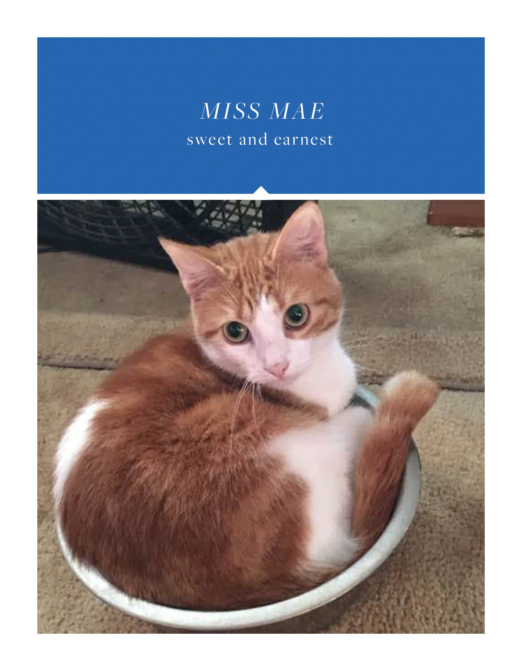 missmae.jpg