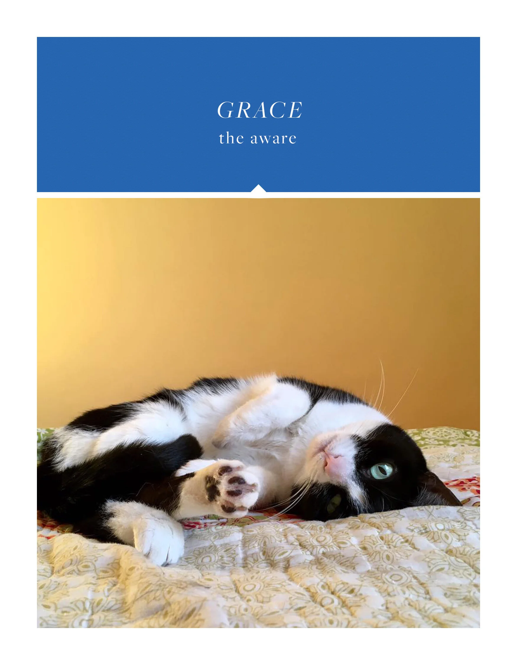 grace.jpg