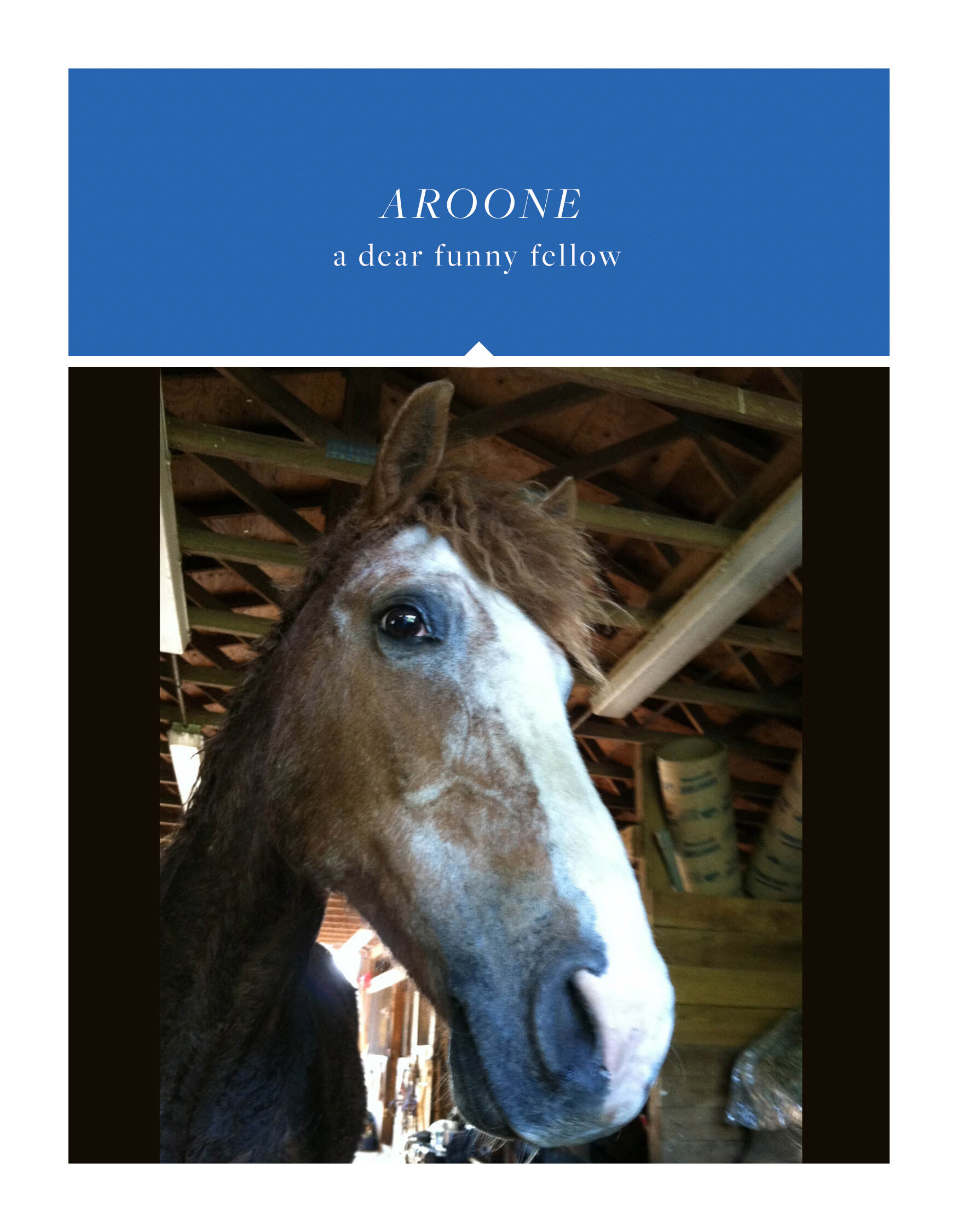 aroone.jpg