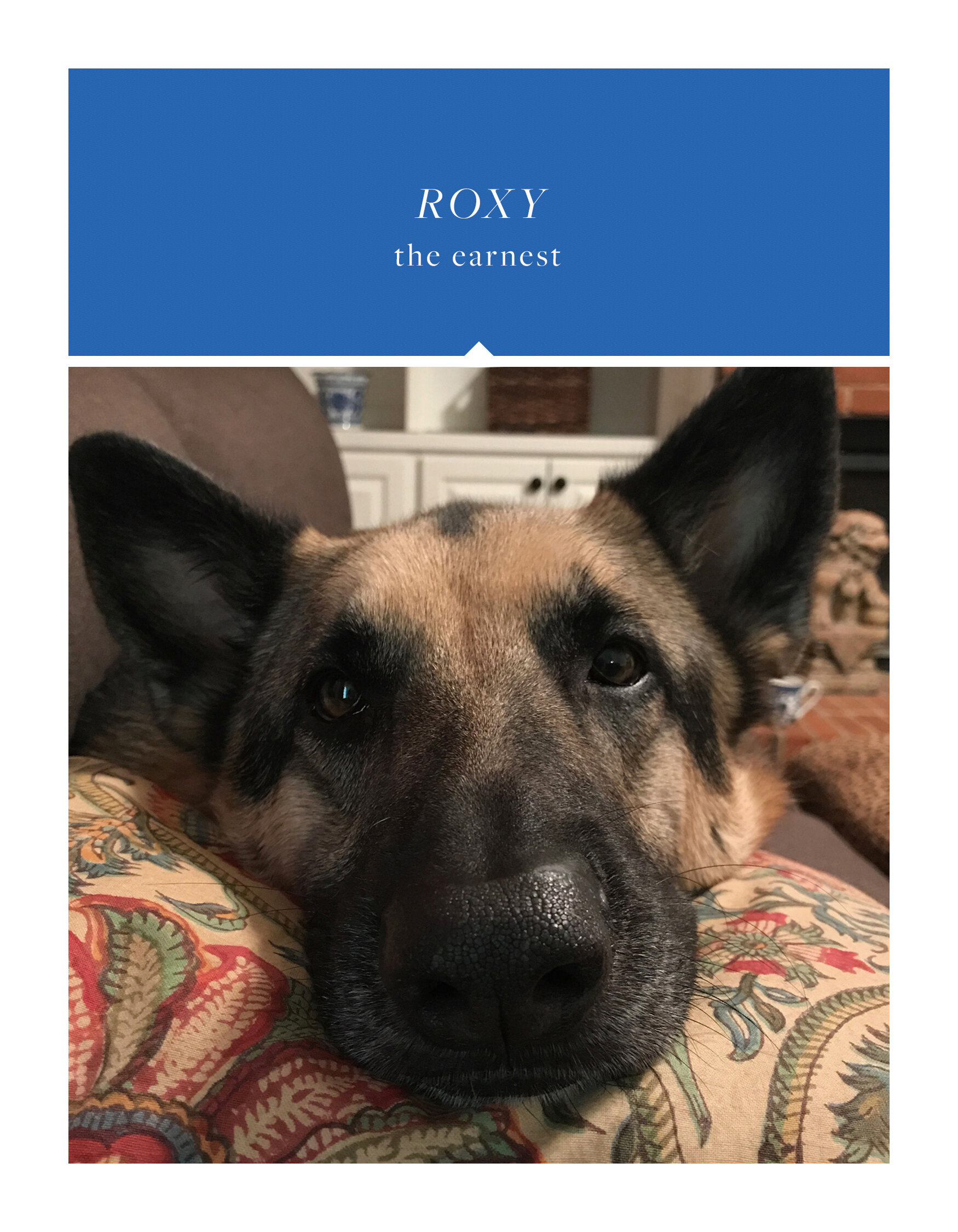 roxy.jpg