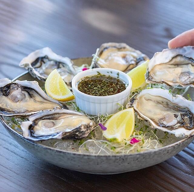 It&rsquo;s that time of year... #Bluff #oysters #newzealand #mamaison #akaroa #bankspeninsula #canterbury #yum #food #foodphotography oyster 🦪 #genericoysterpicture