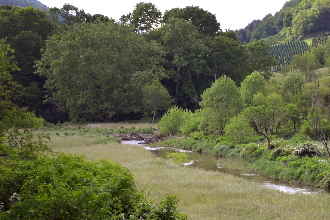 green-with-stream.jpg