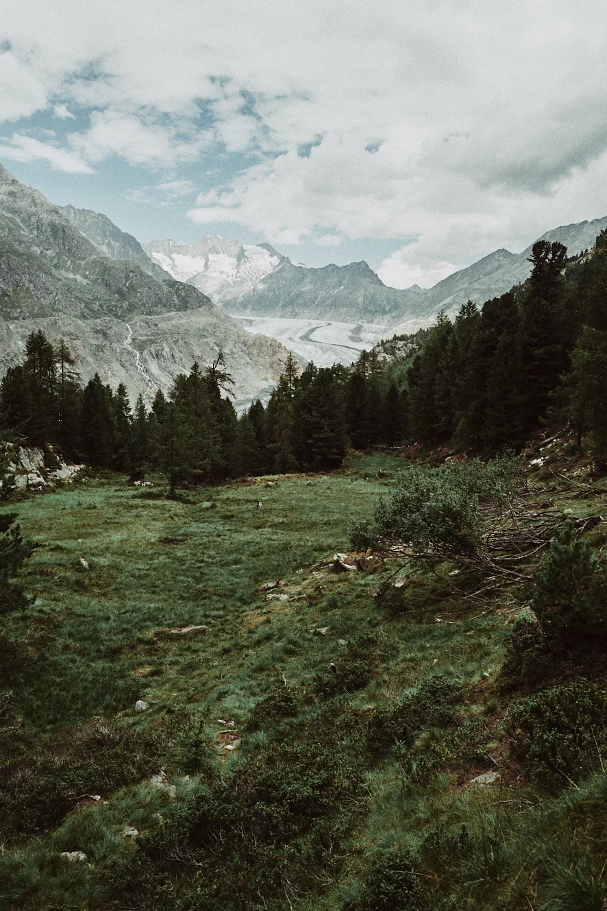AW_180730_SWITZERLAND_0078.jpg
