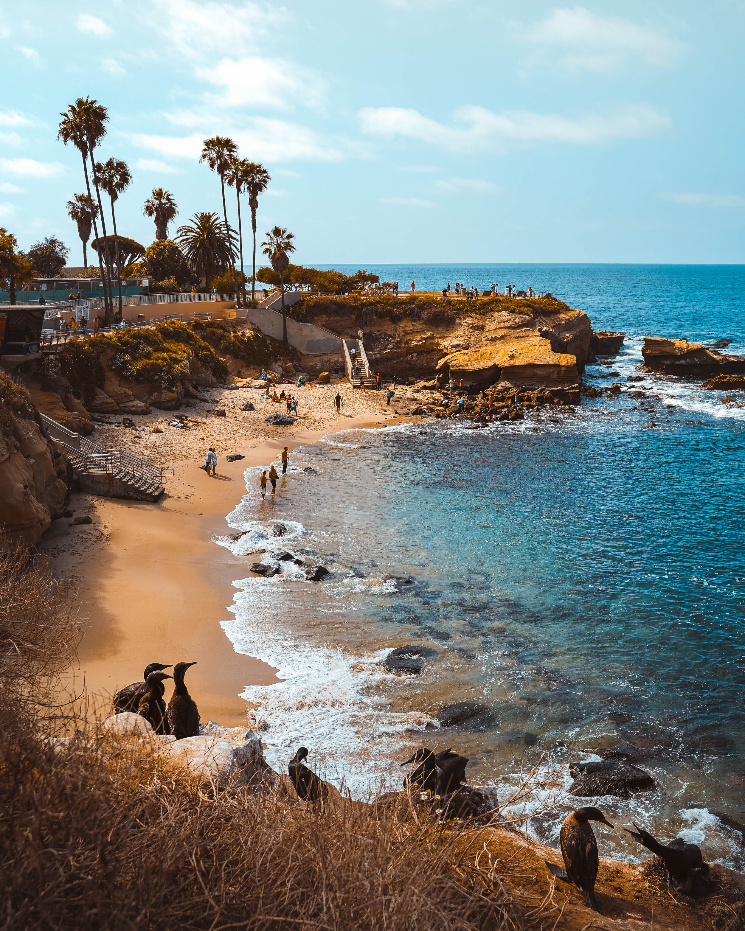 la-jolla-cove.jpg