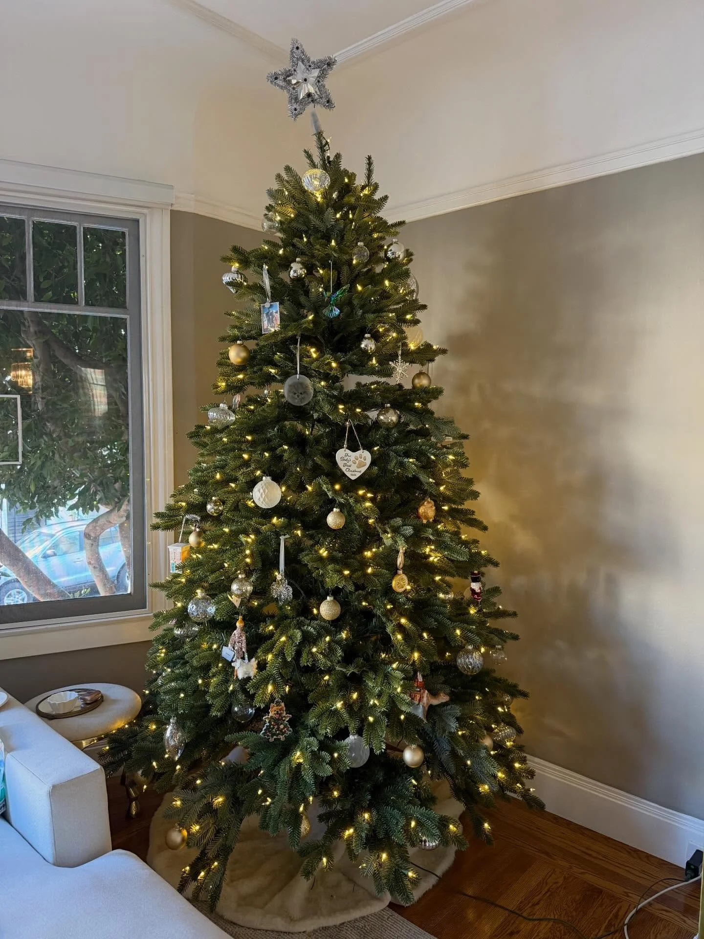 Holiday sightings!🎄💝