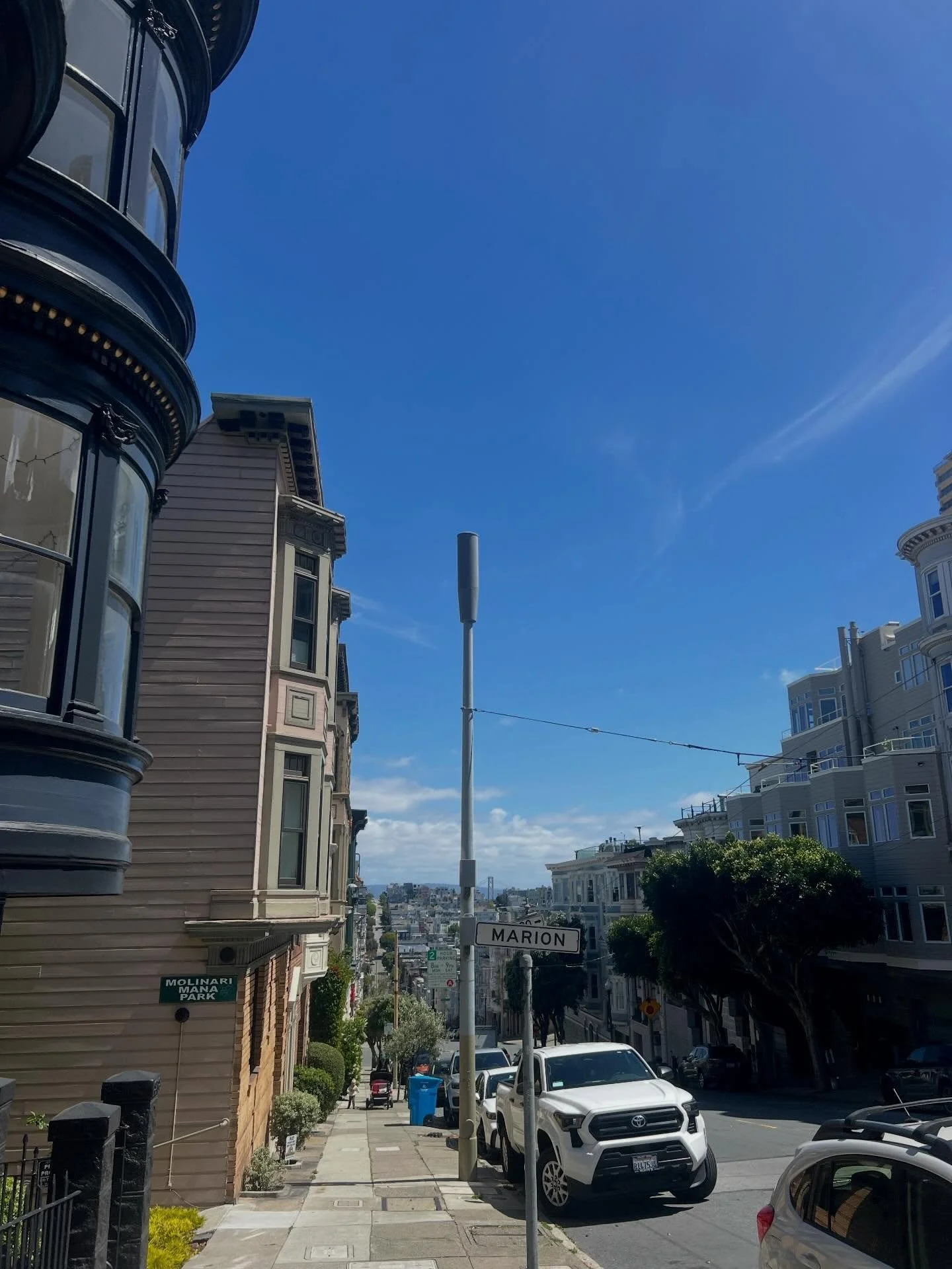 Recent sf views 📸🐶