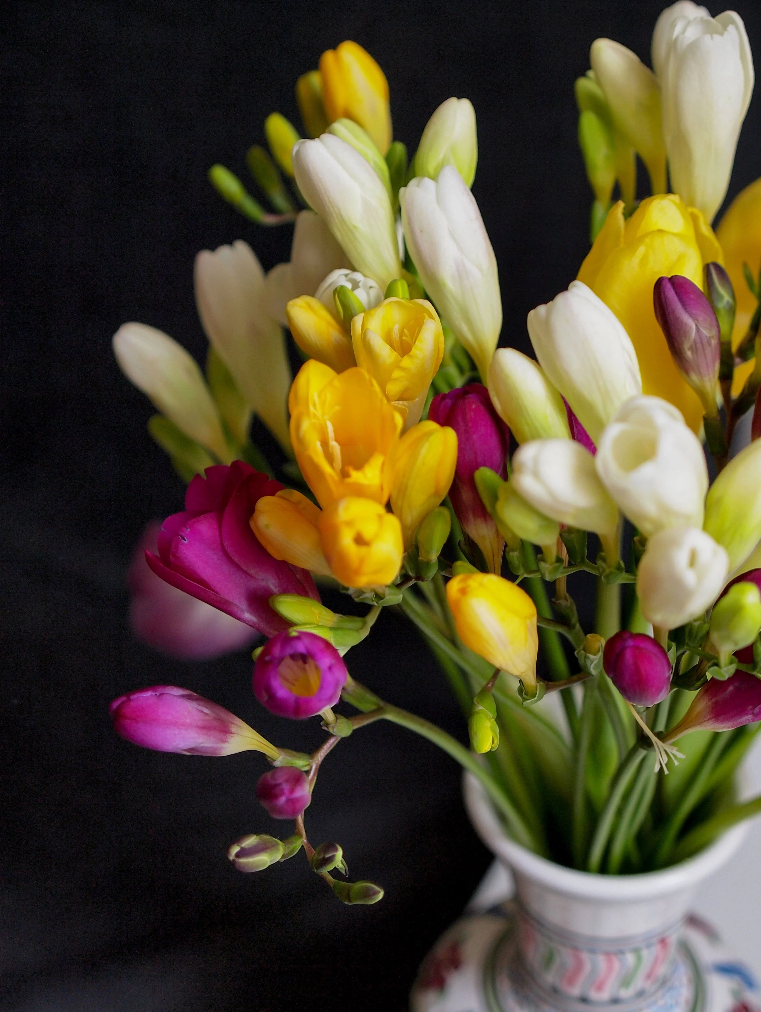 Freesia