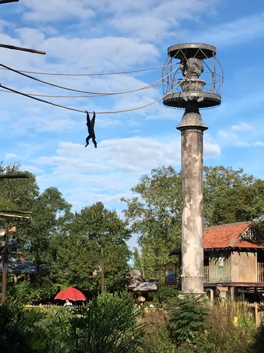 Veruka is hanging ten.