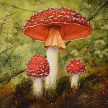 Jewels In The Forest