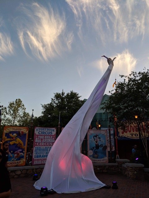 Sway-Pole, Swaypole, Aerial, Circus, Cirque, Bendy Pole, Walt Disney World, Magic Kingdom, Orlando