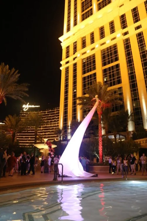 Sway-Pole, Swaypole, Aerial, Circus, Cirque, Bendy Pole, The Venetian, Las Vegas