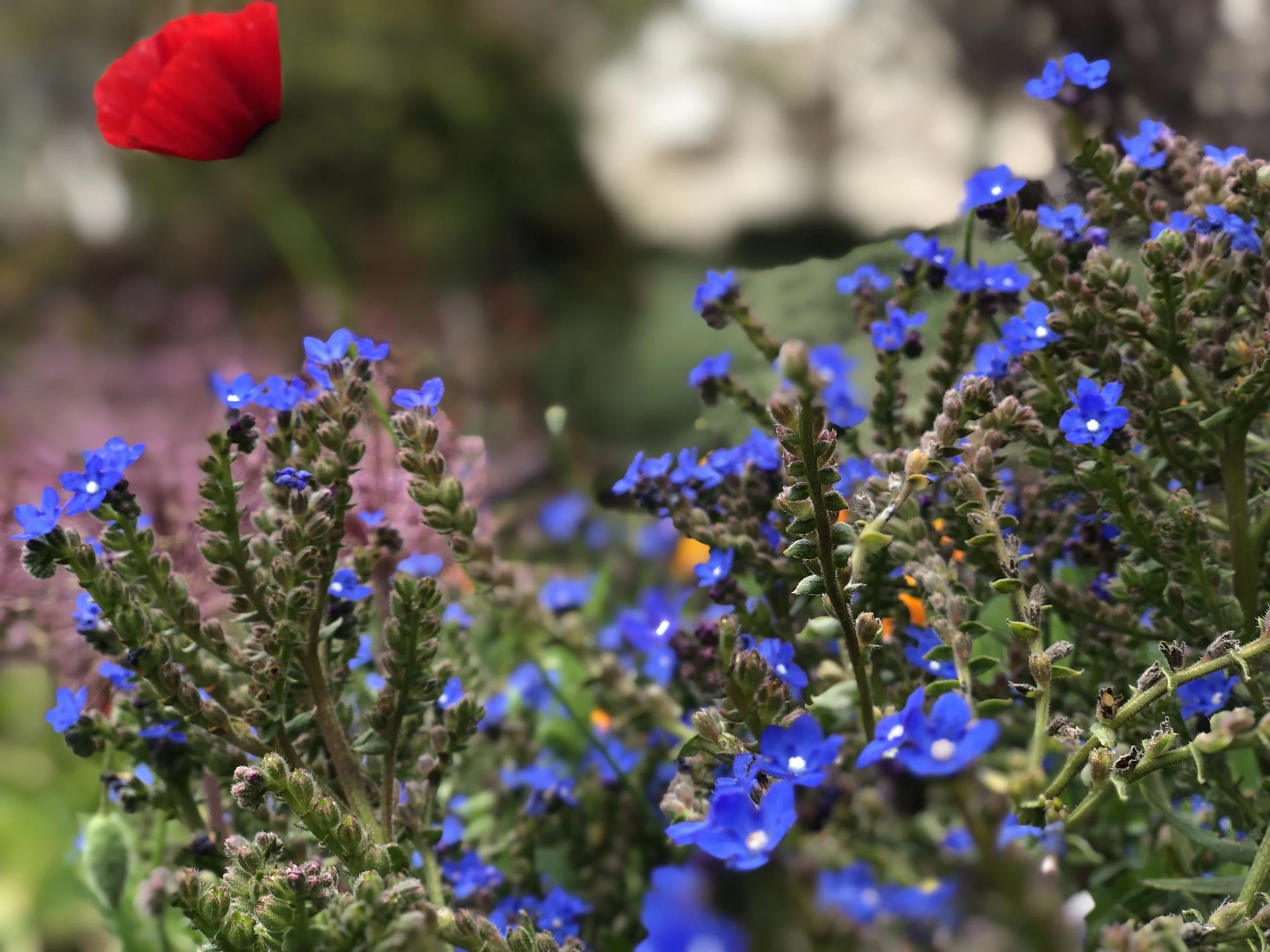 You Belong to You: An Easter Message