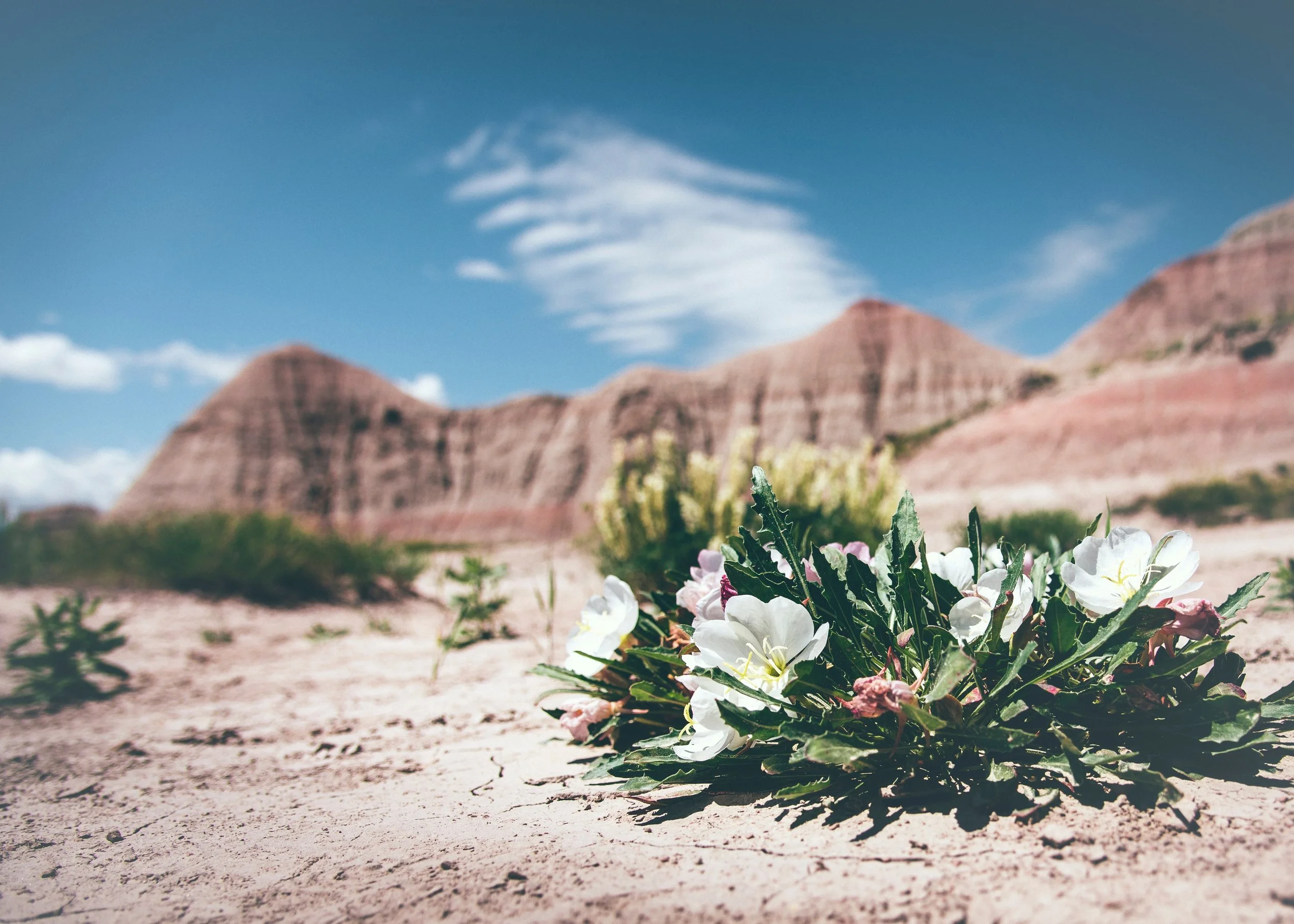 jordan-whitt-97882-unsplash.jpg