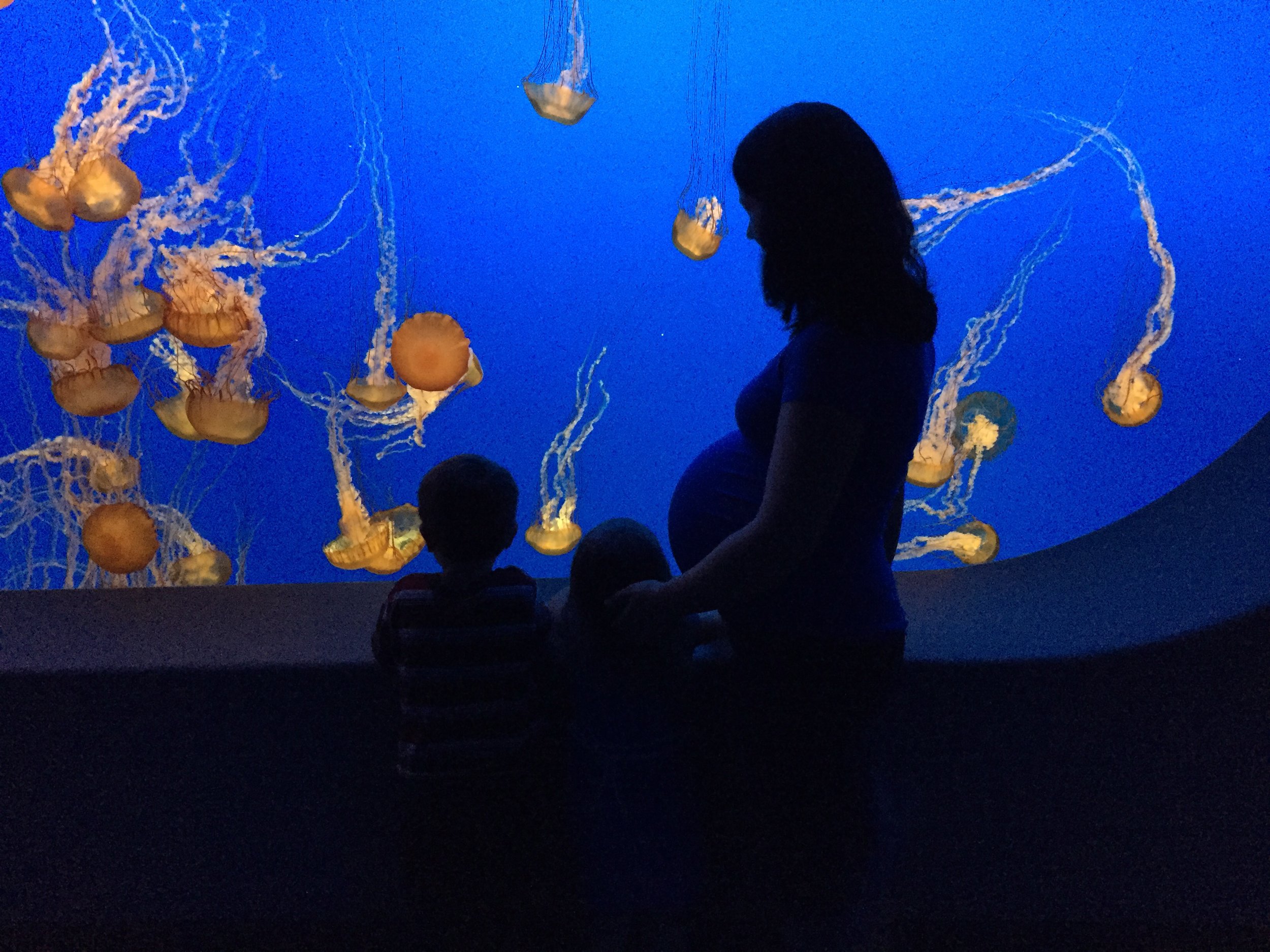 IMG_1639.jpg