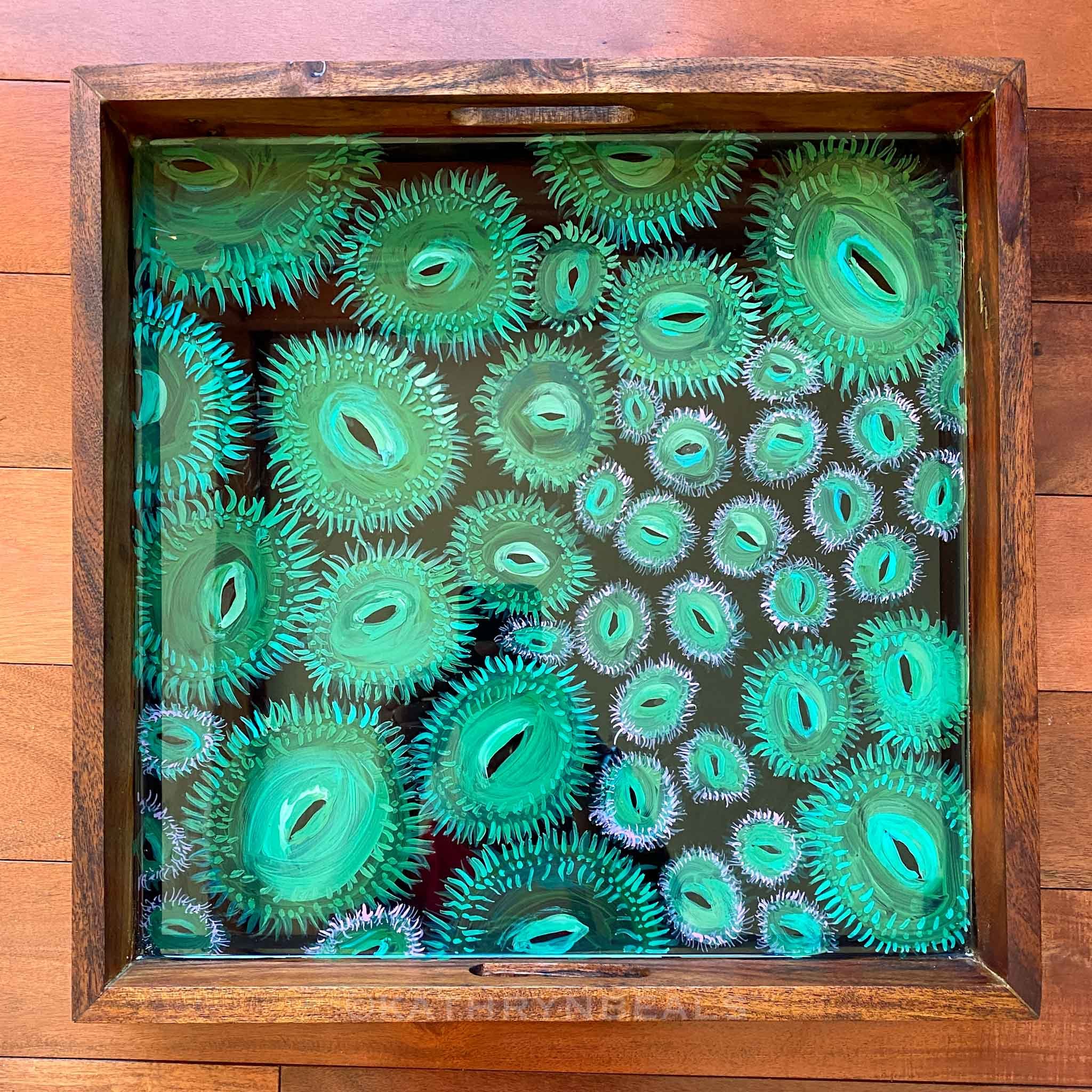 kelpforest-512.jpg