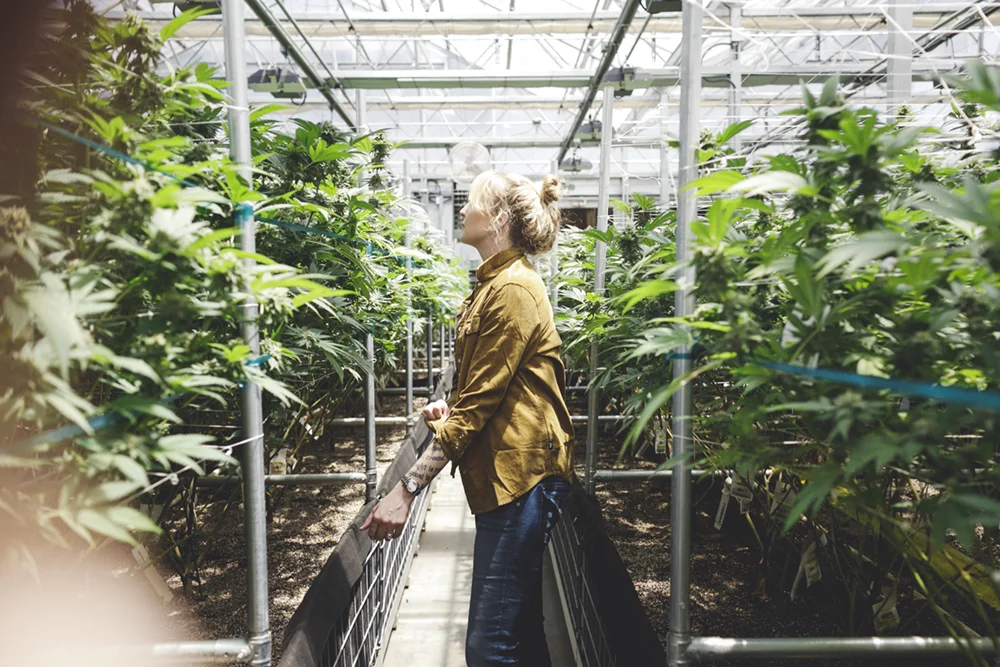 JENNIFER-SKOG-MJ-Lifestyle-cannabis-honey-pot_0424.jpg