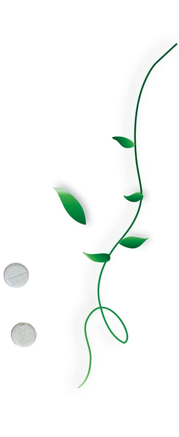 vines.jpg