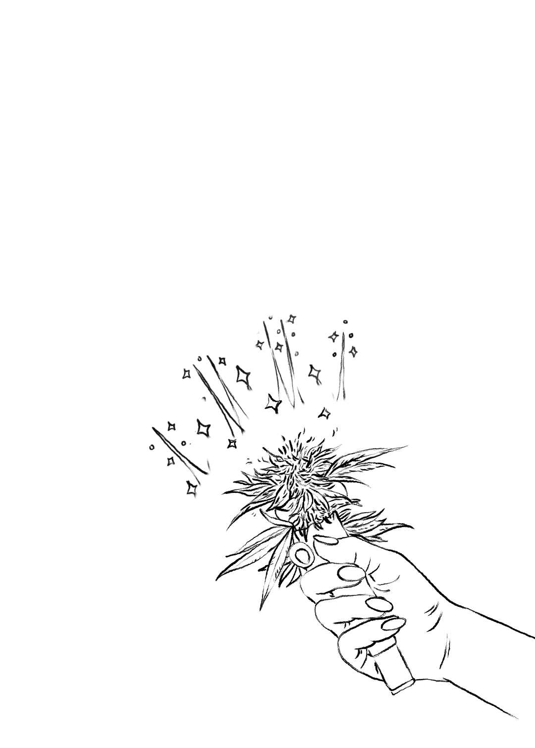 Illustrations by Charmaine Esmerelda