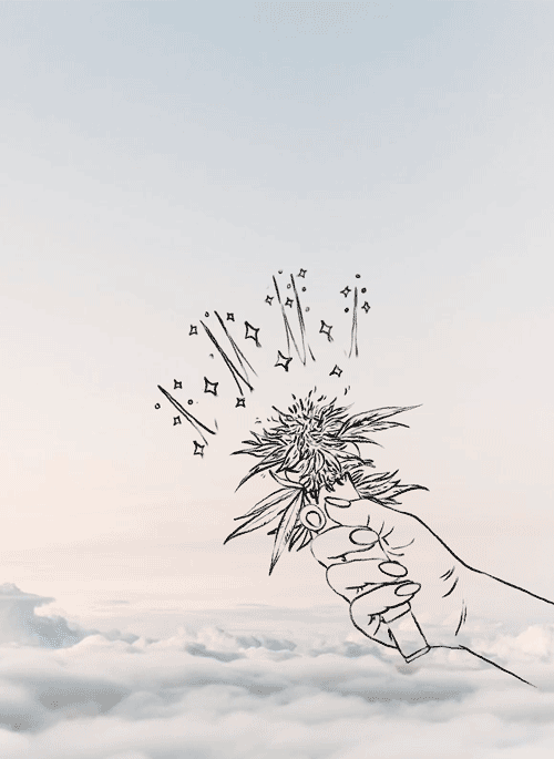 Our Summer/Fall 2019 Tarotscope is Here