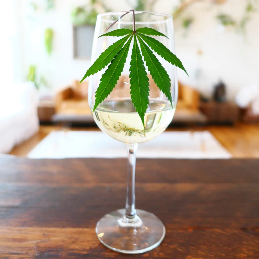 Private Dinner &amp; Terpene Pairings with  The Herb Somm