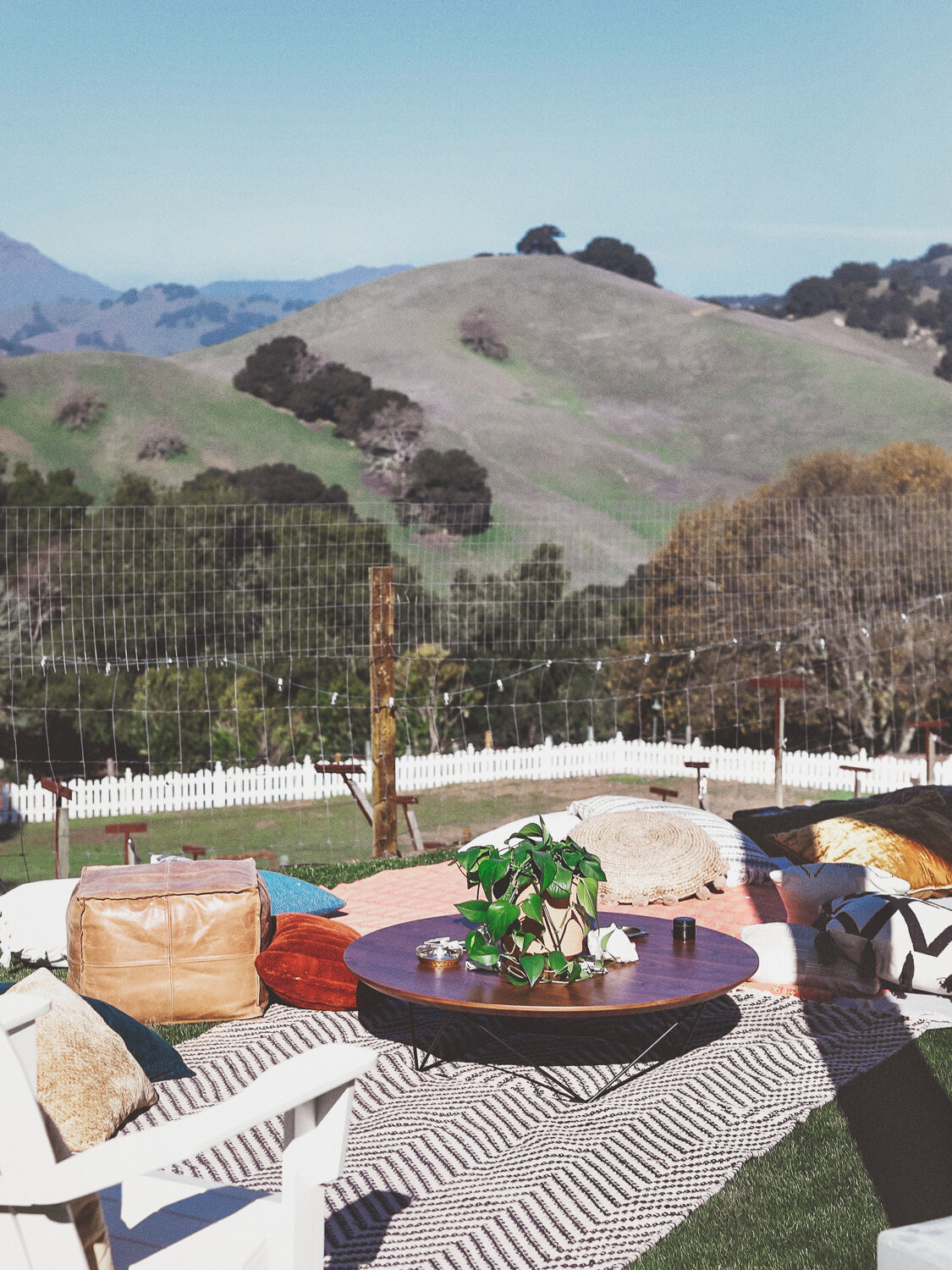  The Fine Art Lifestyle Magazine advocating for women and plant medicine. 