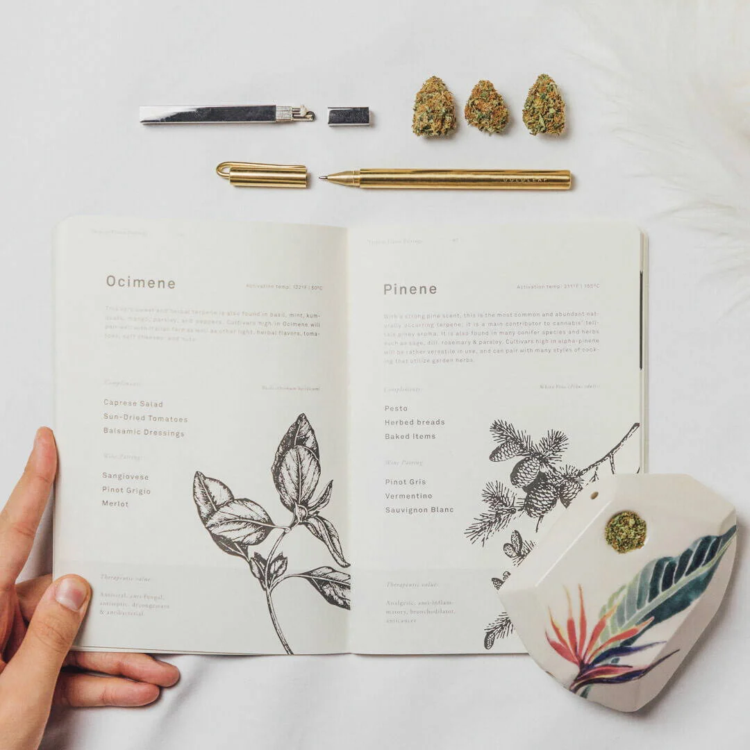 Herbal Journaling—An Exercise for Experimentation and Grounding