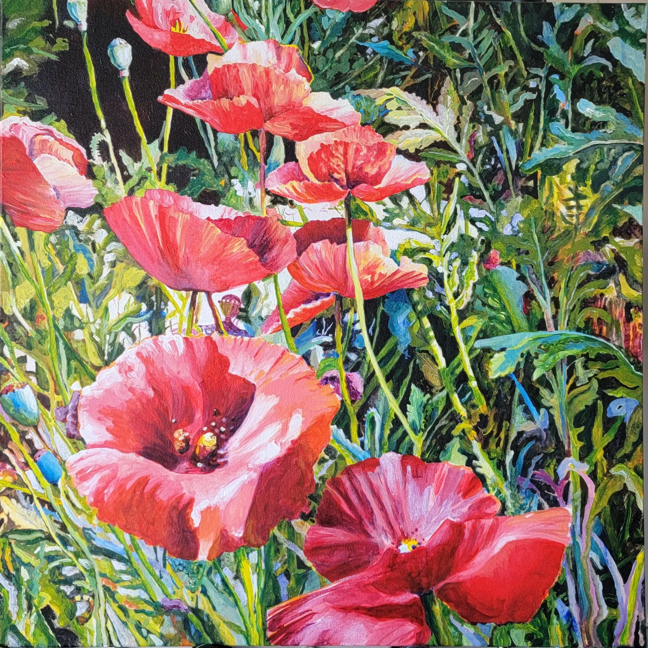 Field of Poppies No. 1