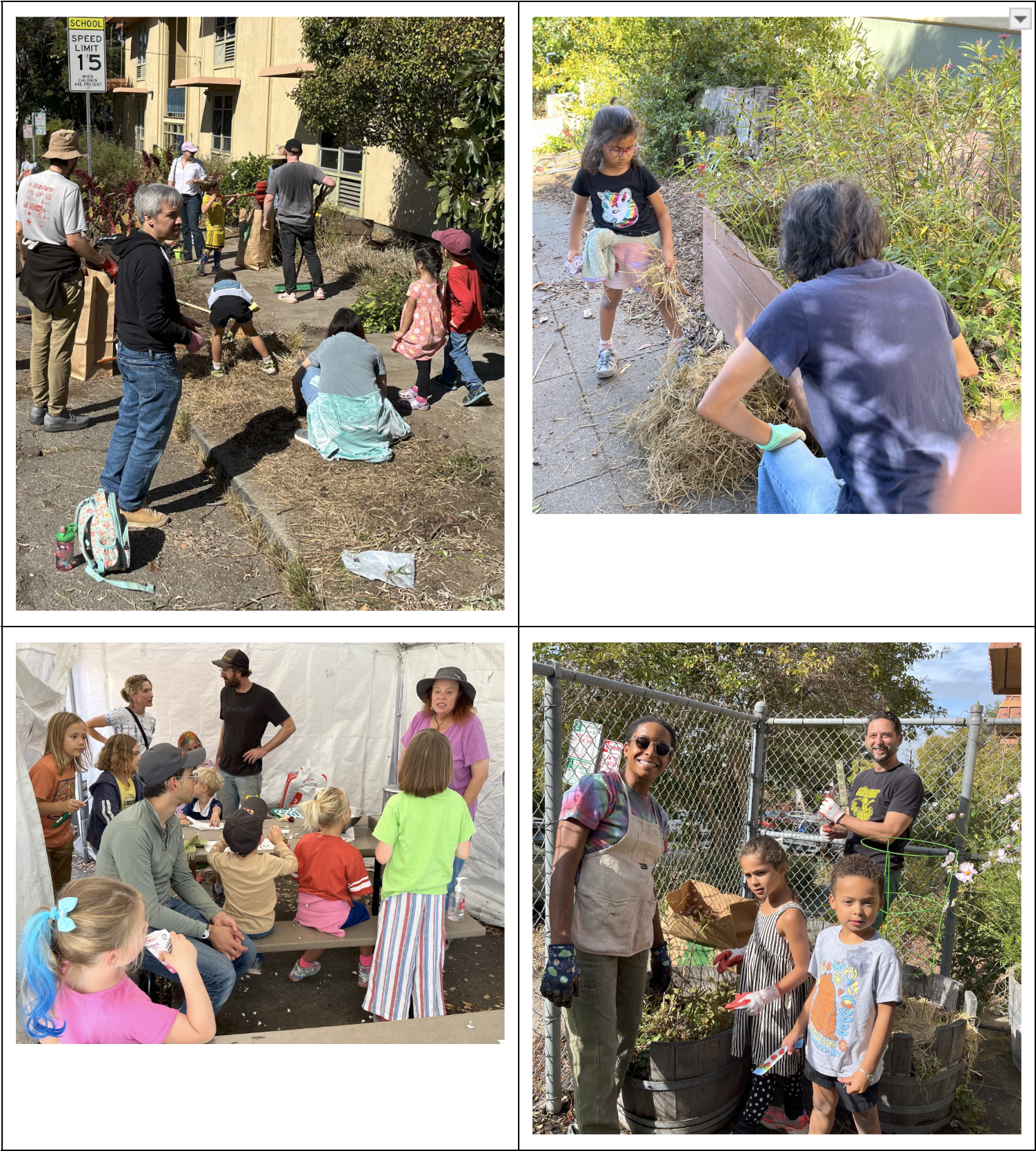 four picture of garden cleanup event