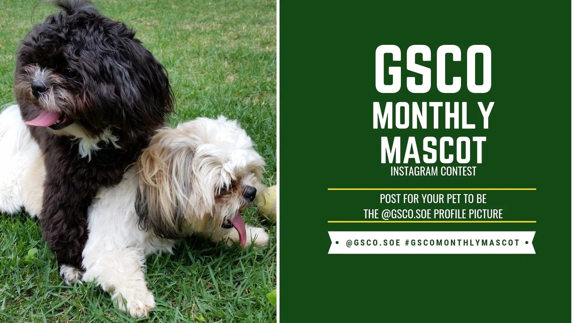 GSCO 18-19 Monthly Mascot.jpg