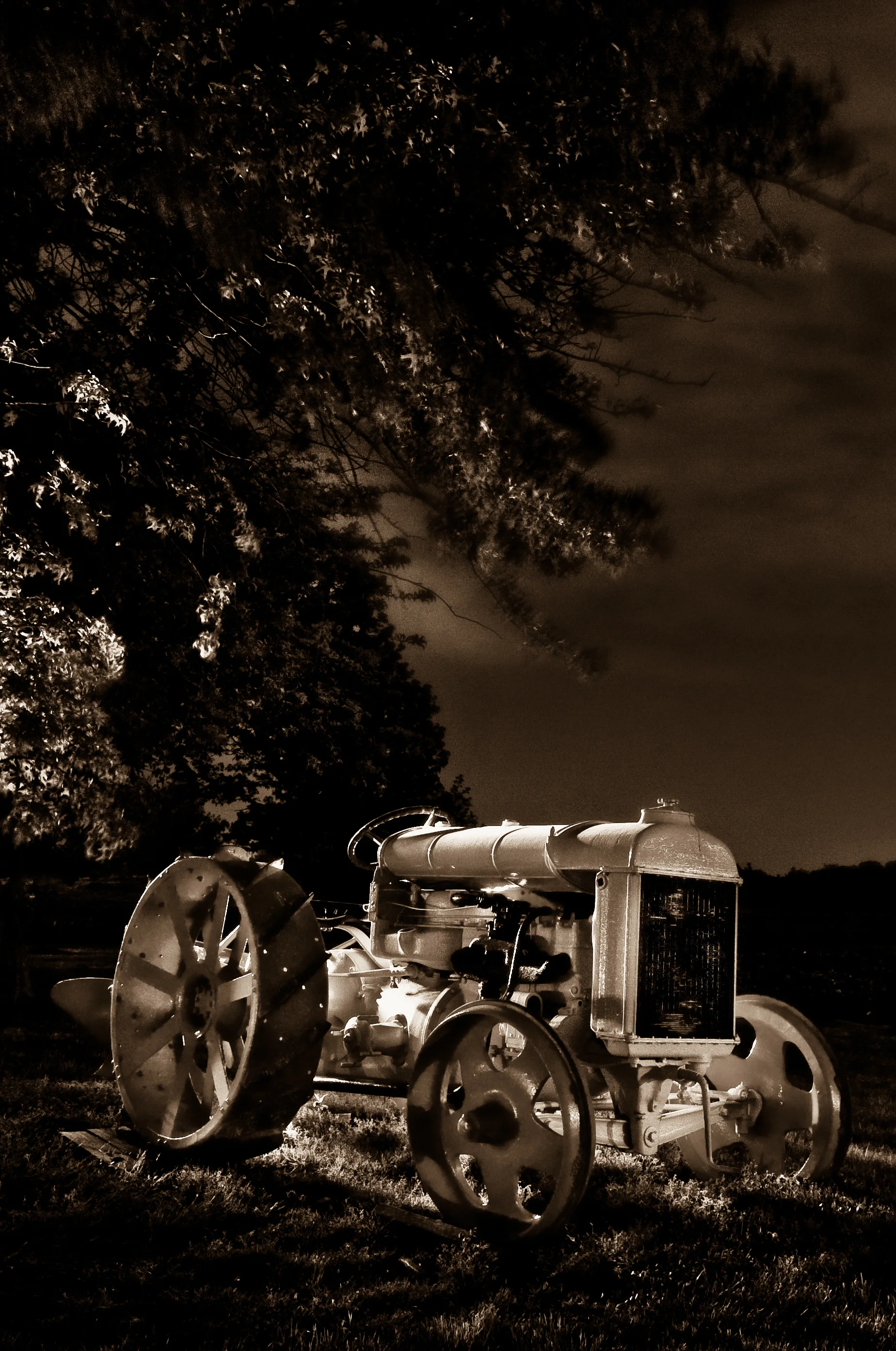 001_MAG_0798.jpg