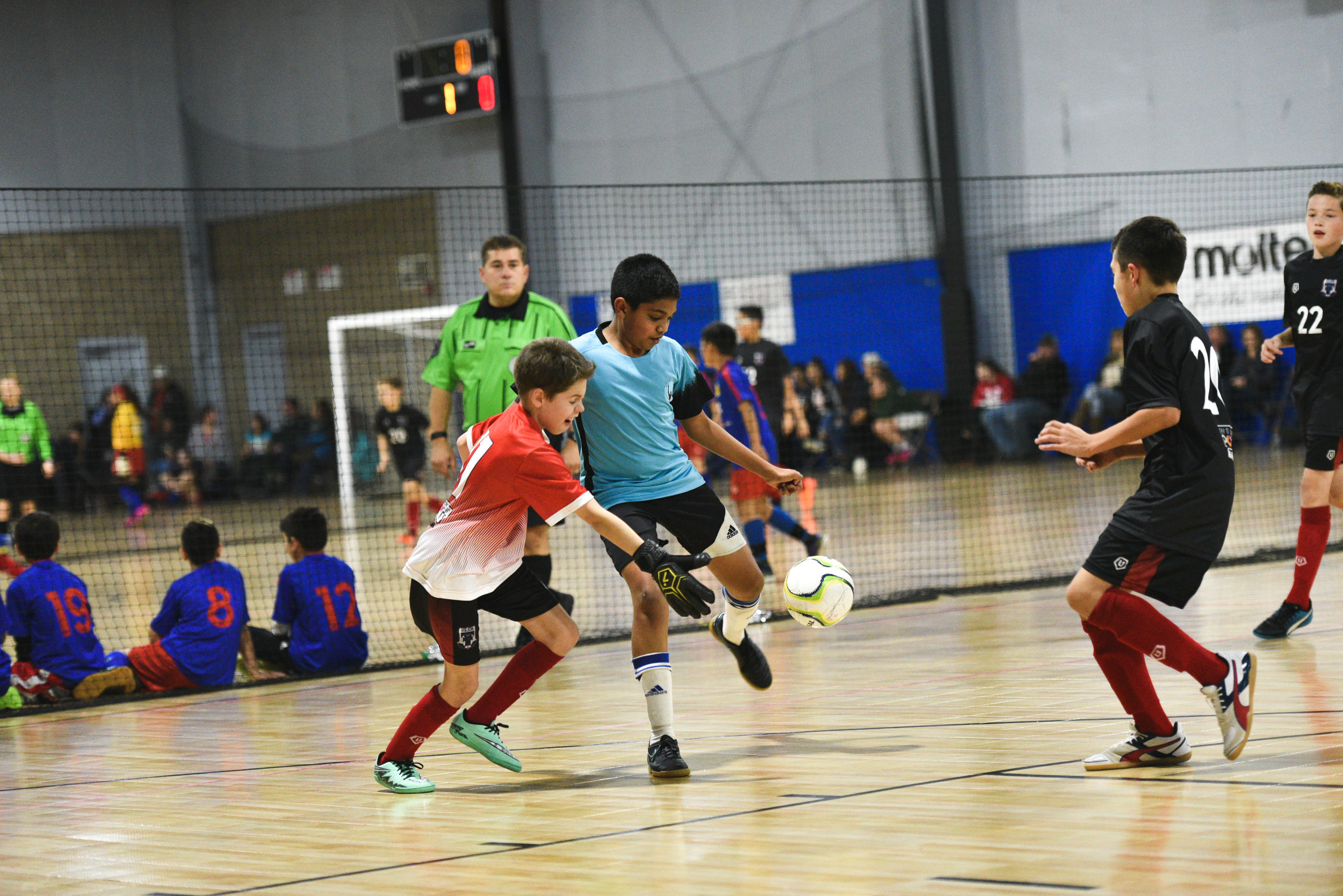 AFC_4169.jpg
