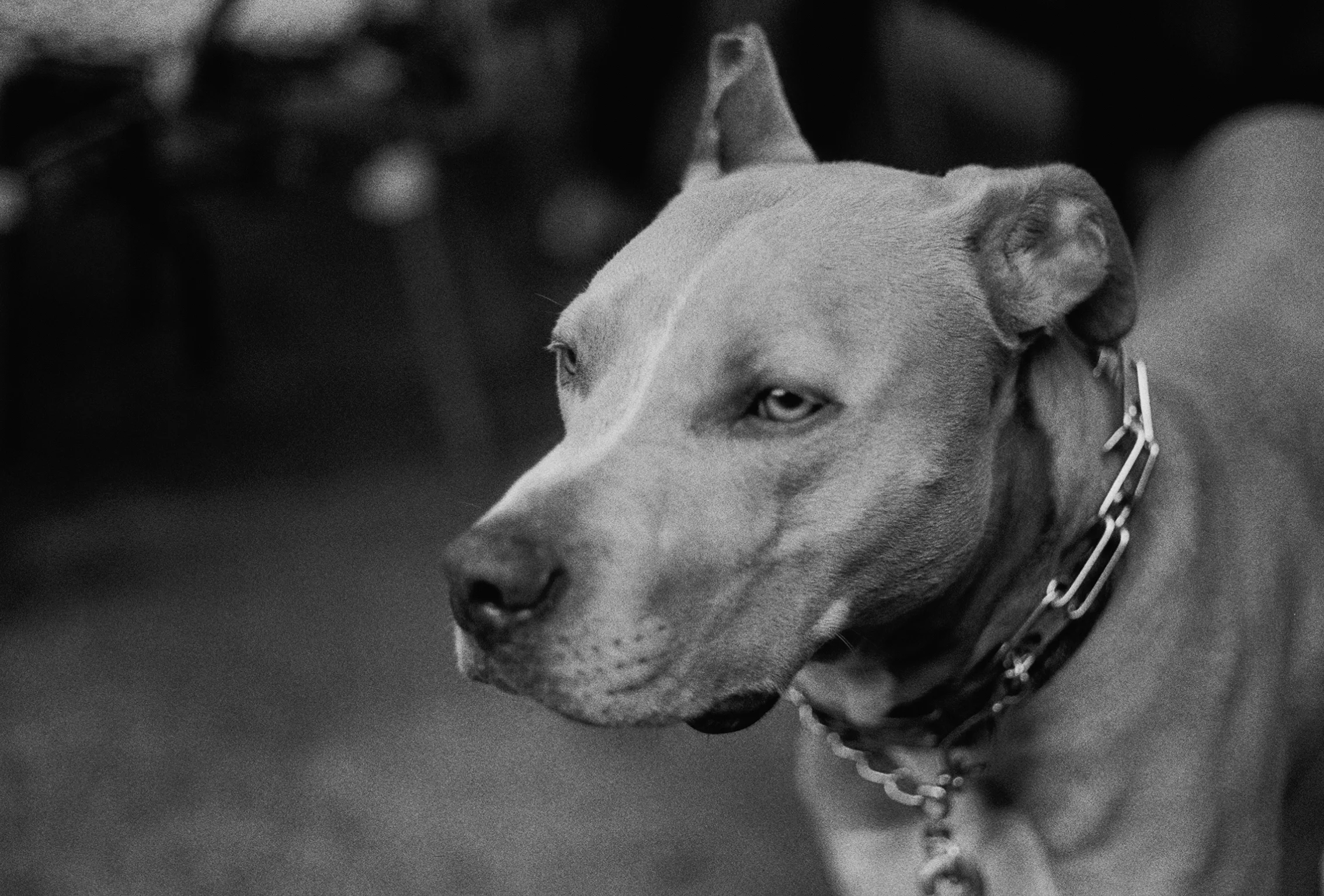 2979001_2979001-R1-E018.jpg