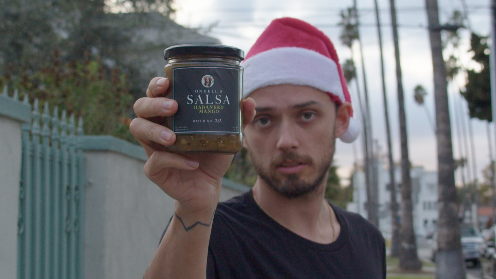 salsa hab batch 10.png